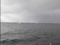 Cod Fishing49
